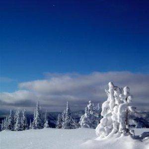 Top of Brundage