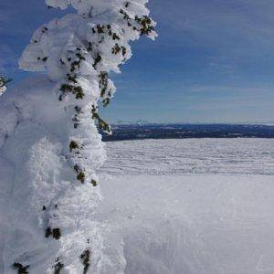 West Yellowstone