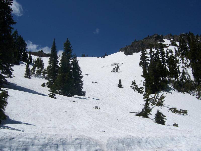 2008 Chinook pass in June