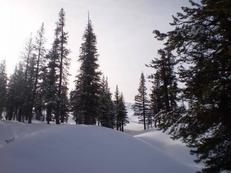 2009 12 19 EBBETTS PASS ,highland lake