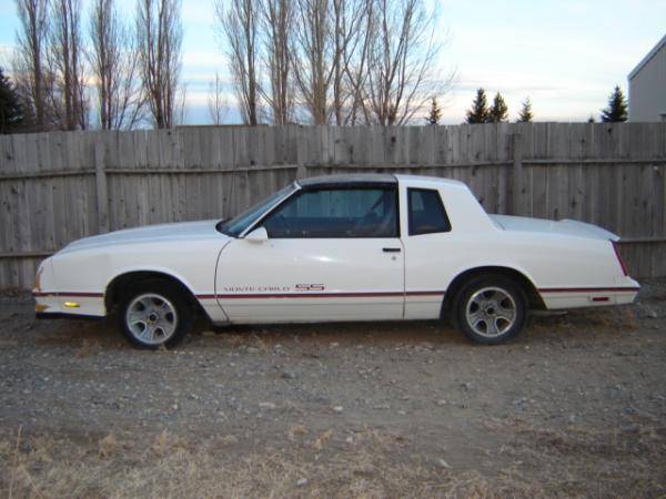 87 monte carlo ss t-top 4 sale