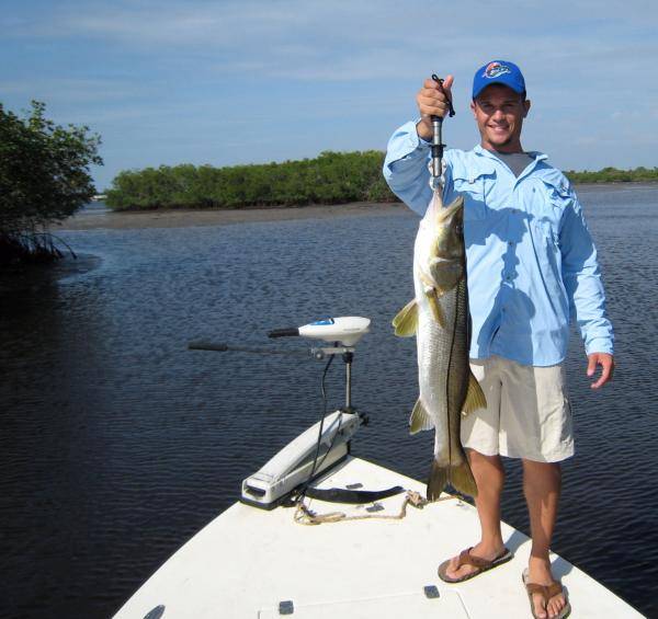 A day on the flats in the mangroves. This 32&quot; snook was the bigest out of about 40 caught