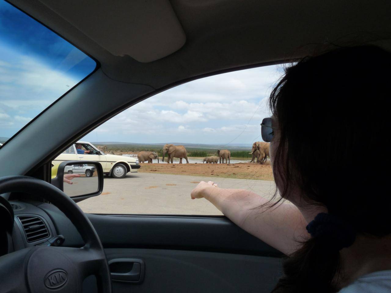 Addo Elephant Park, SA