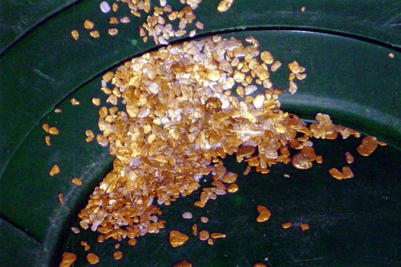 Alaskan gold