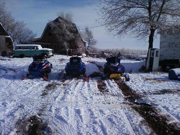 all three sleds