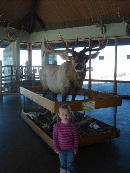 Ashlynn, Hardware ranch 2010