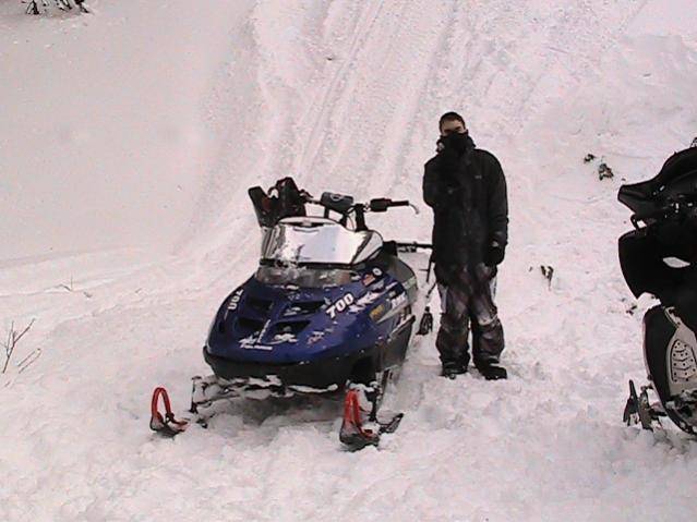 bandito by his sled