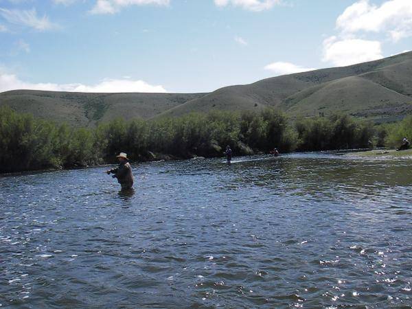 Beaverhead river