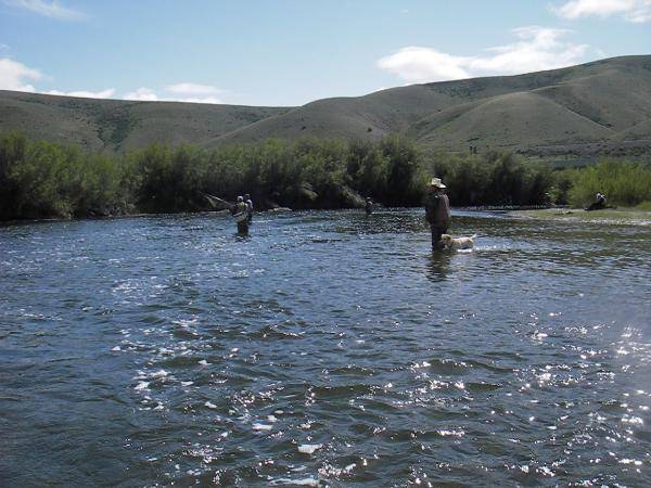 Beaverhead river