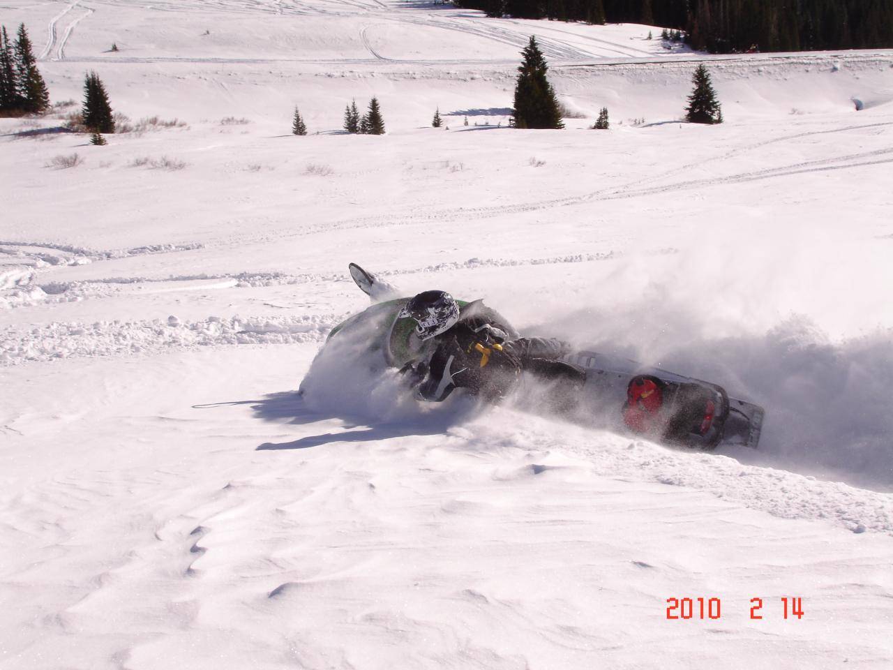 Bighorns on 2/14/10