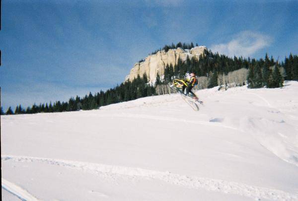 Bighorns