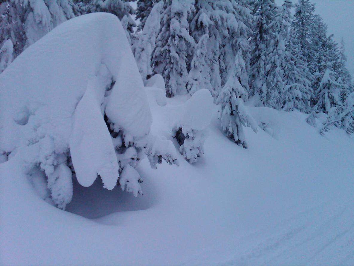 Black Canyon Loop
LOTS of fresh snow on 1/23/2010