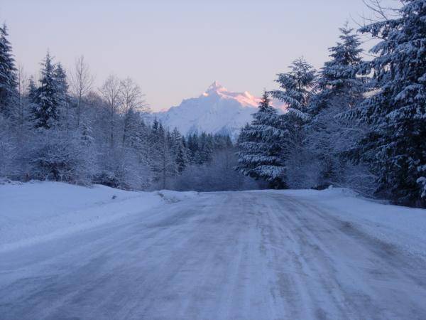 Blue bird, Mt. Shuksan