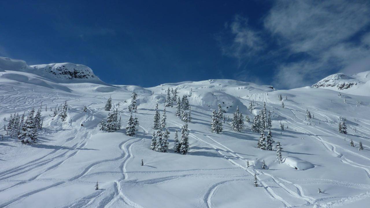 Brandywine Feb 2011 sick Snow 10 feet 7 days