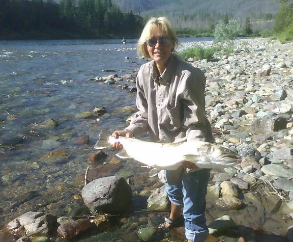 bulltrout