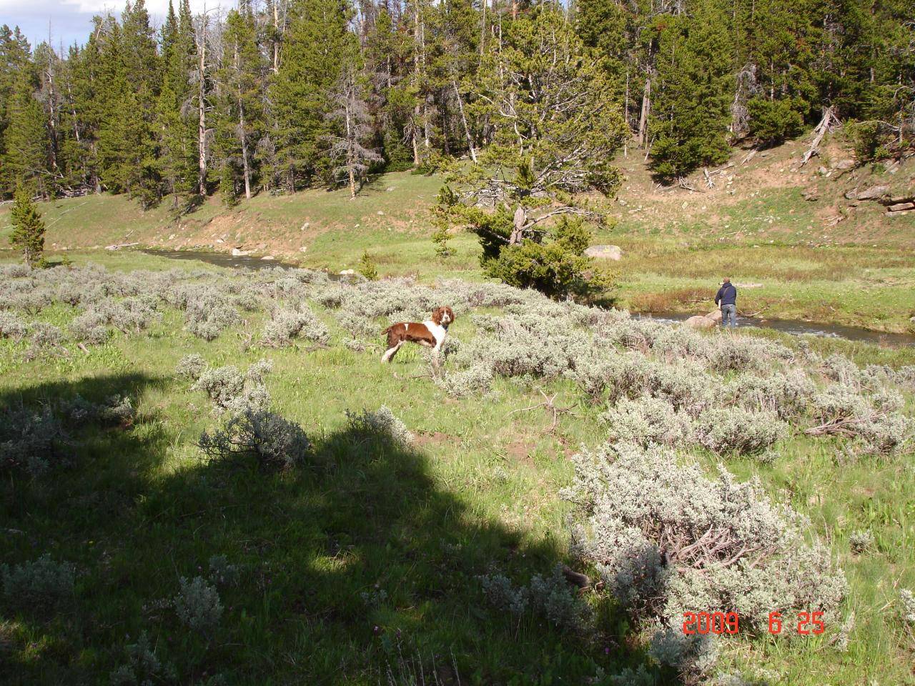 camping trip in the 'horns