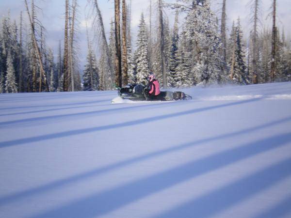 Carvin' in some powder.