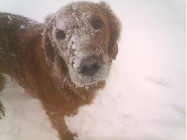 Cassidy loving the snow!