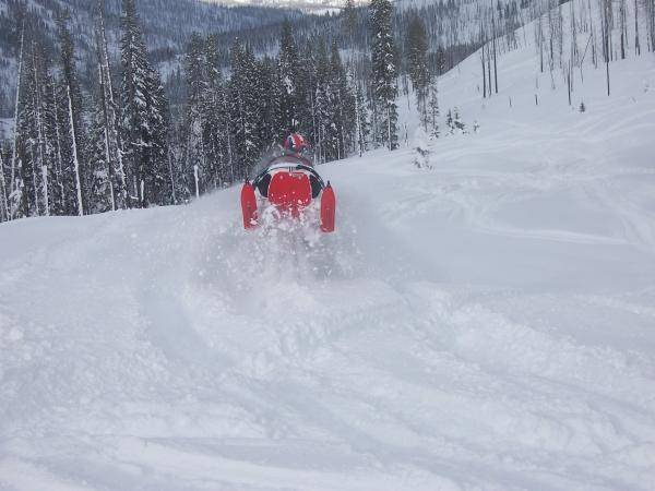 Cindy in McCall