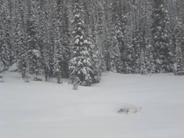 Clemina in Valemount, BC (Hillclimb)