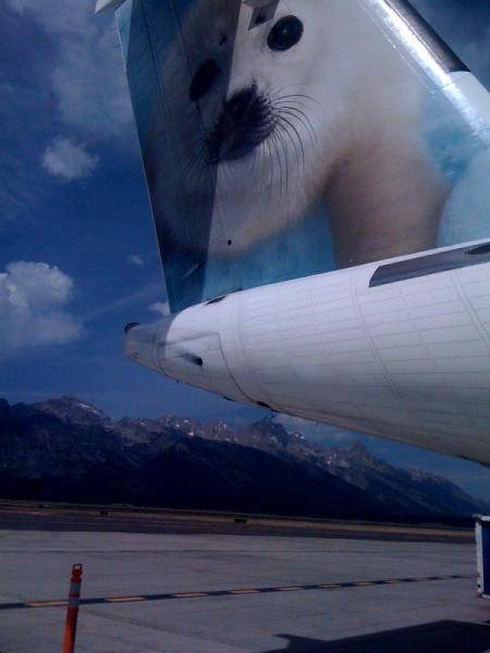 Clubby in Jackson hole