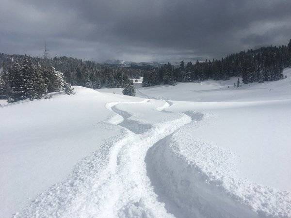 cooke city MT.