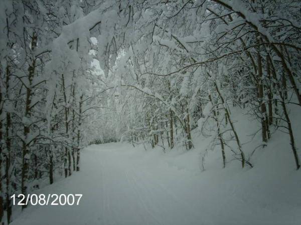 cool pic for a trail