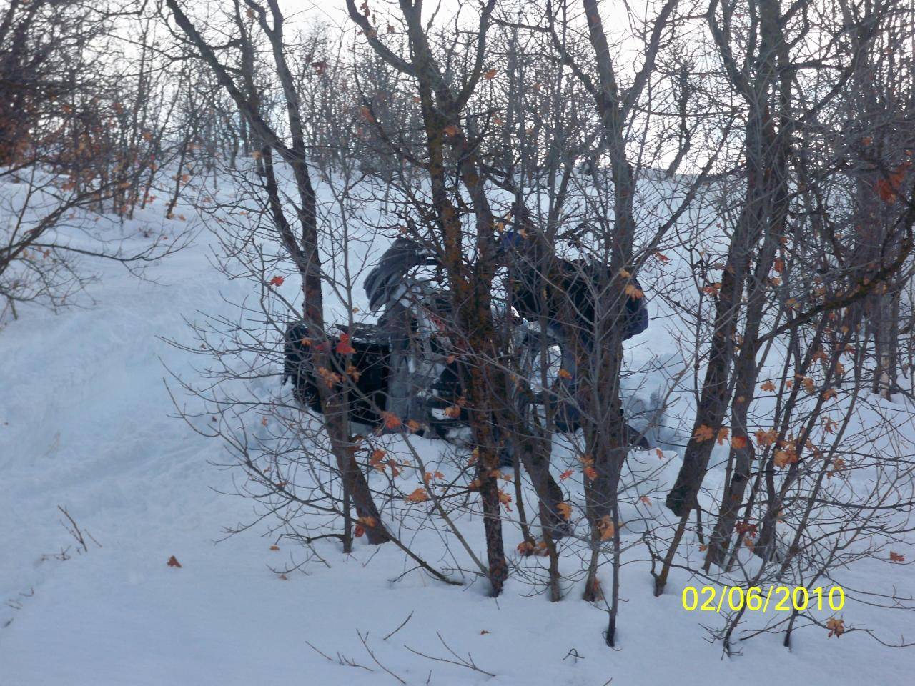 dad upside down in a tree.... good save