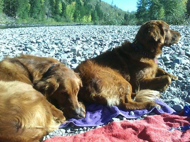 Drake and Cassidy at camp beach