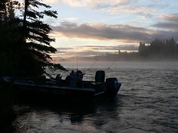 early morning Kenai river