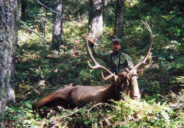 elk 2005