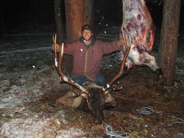 first branch bull