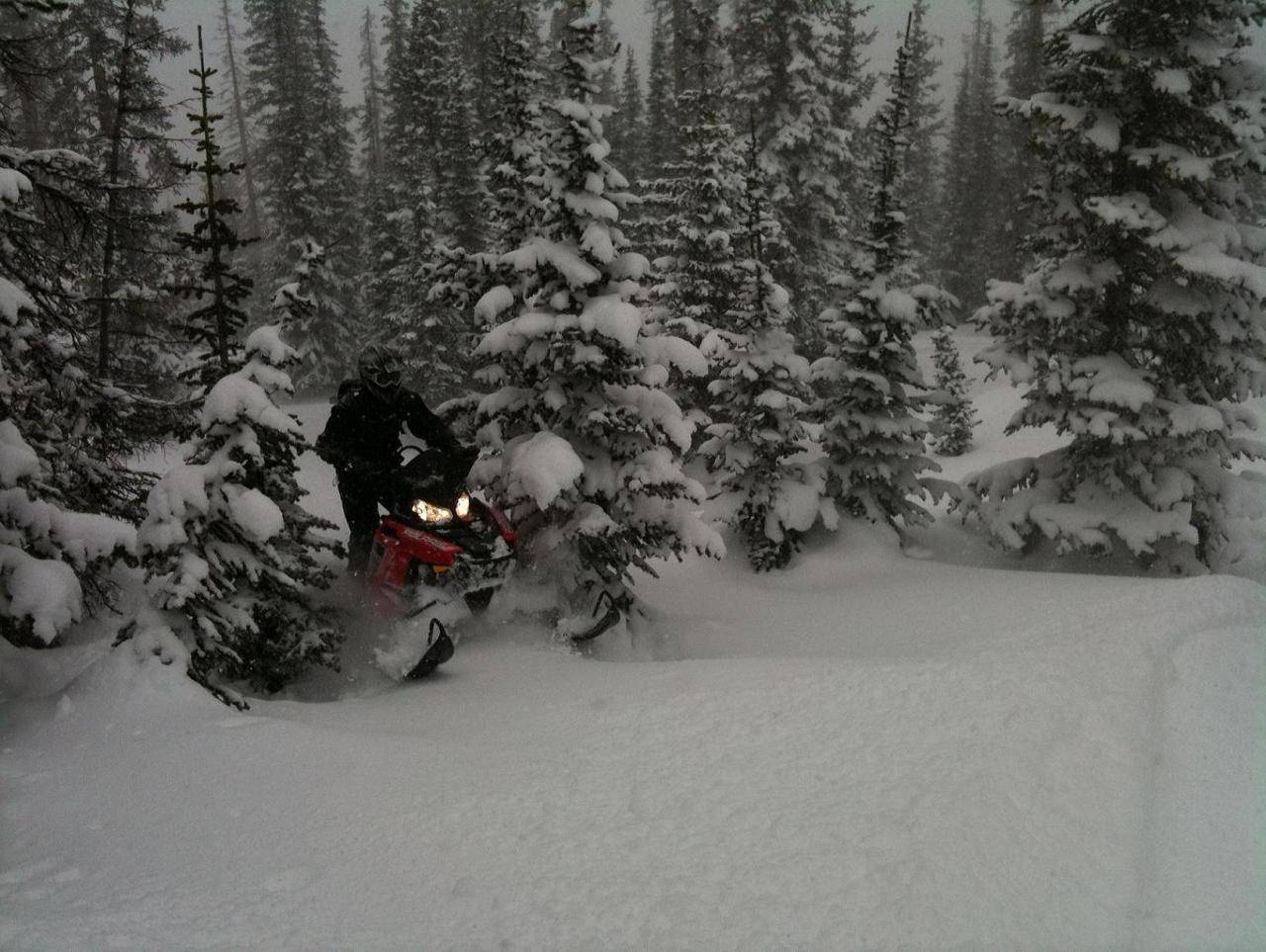 First ride on new sled