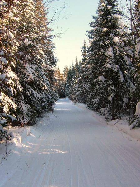 Flat Canada trails