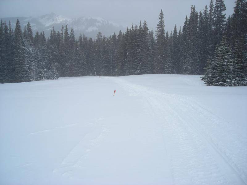 Fresh Pow at Lower Gravel Mnt. &gt;&gt;&gt;&gt;.