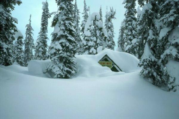 Frisby cabin, Revelstoke