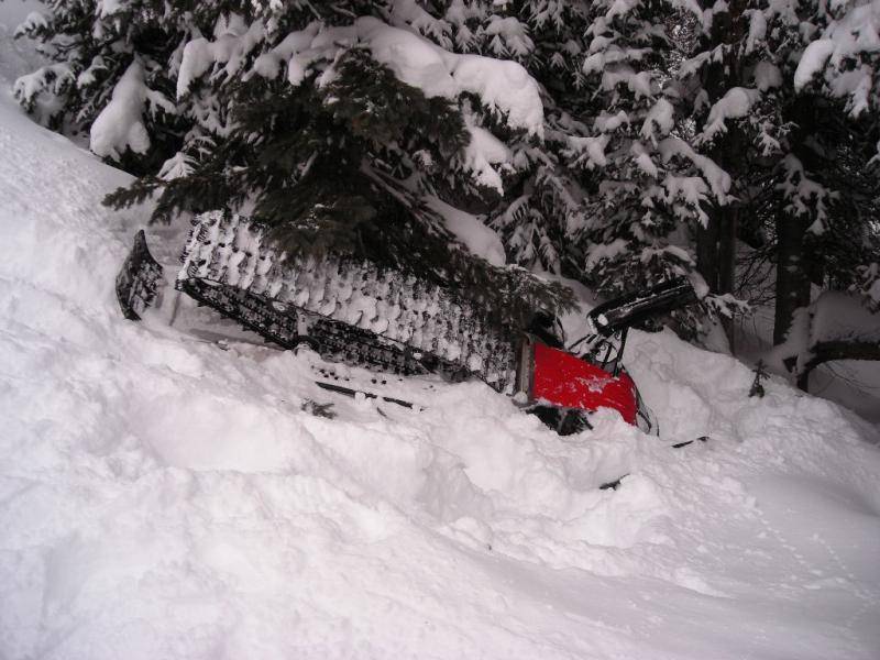 Grand Lake Christmas 2007 We found this cat on the trail needing a little help !! &gt;&gt;&gt;&gt;.