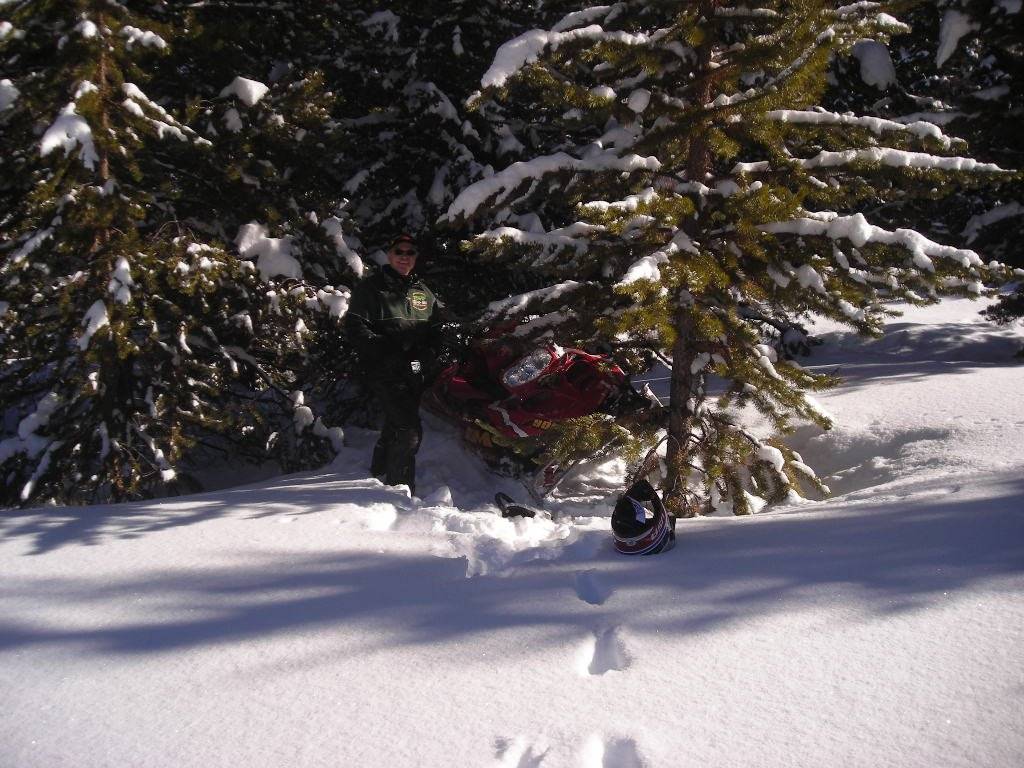 Grand Lake Christmas 2010 Our riding friend John parked in the TREES !!