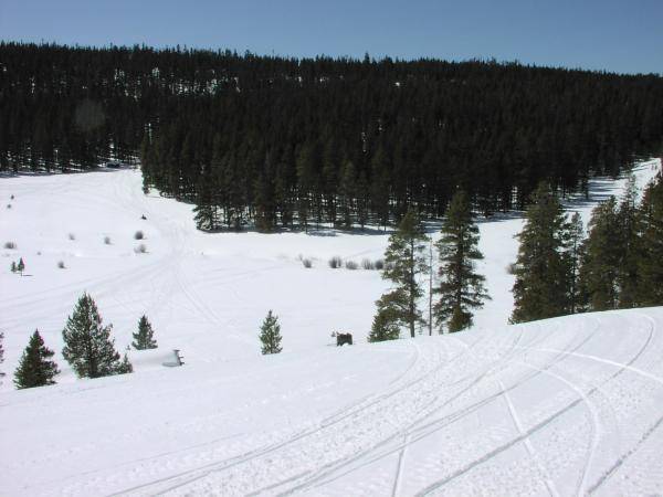 Great place to horse around. Mostly novice stuff but some fun creek beds and hills. The Medicine Bow is about 90 miles from our house. We can go every