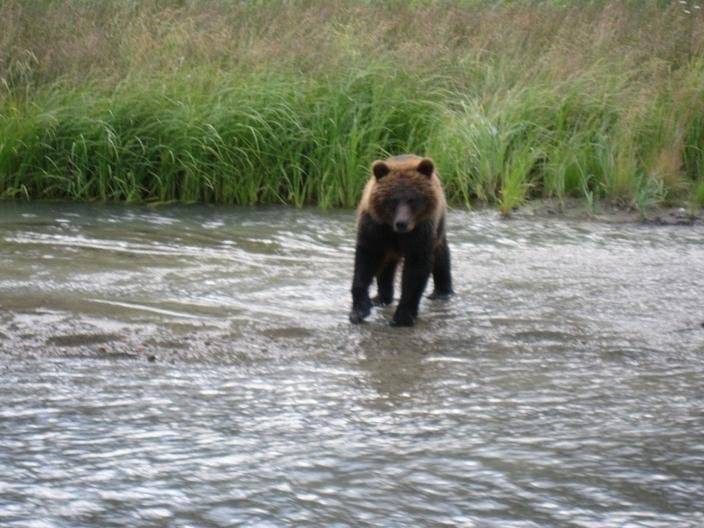 grizz fishin