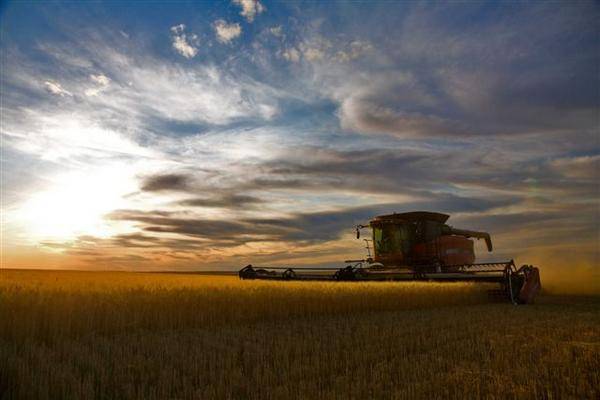 Harvest 2008, Glasgow MT