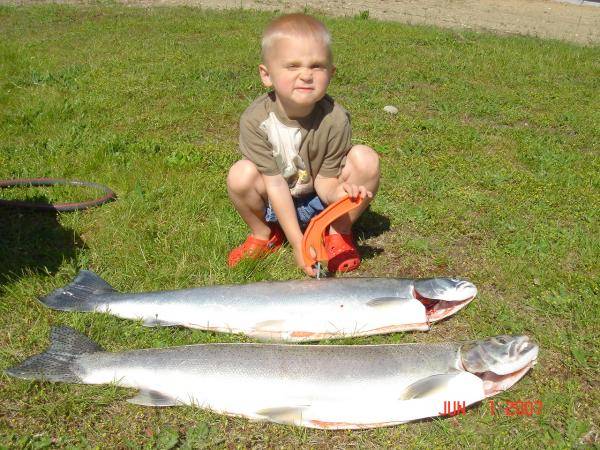 hayden displaying daddies limit of summer steelhead