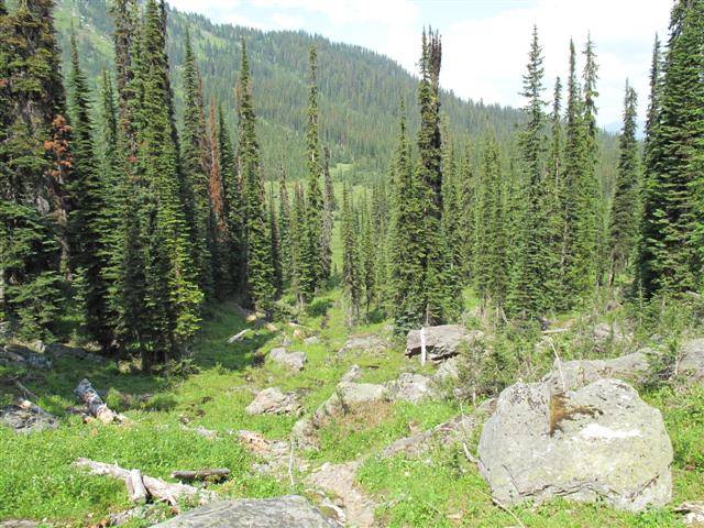 IMG 0451 (Small) The run into silent pass summer 2009, walked the rest of the way.