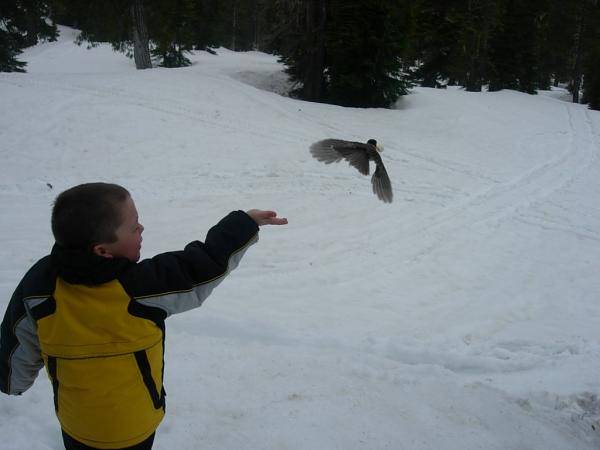 jeremiah and bob the transient ghetto bird