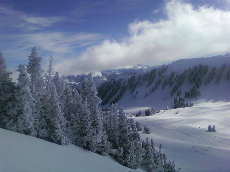 last year at thousant peaks in the super bowl. brrrrrrrrr that day was cold.