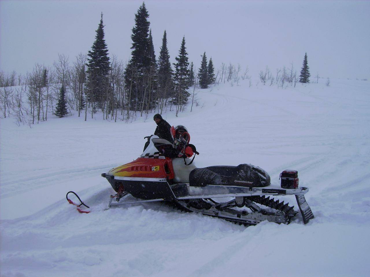 Last years ride. 96 custom chassis with a storm 800 triple. Pretty fast.