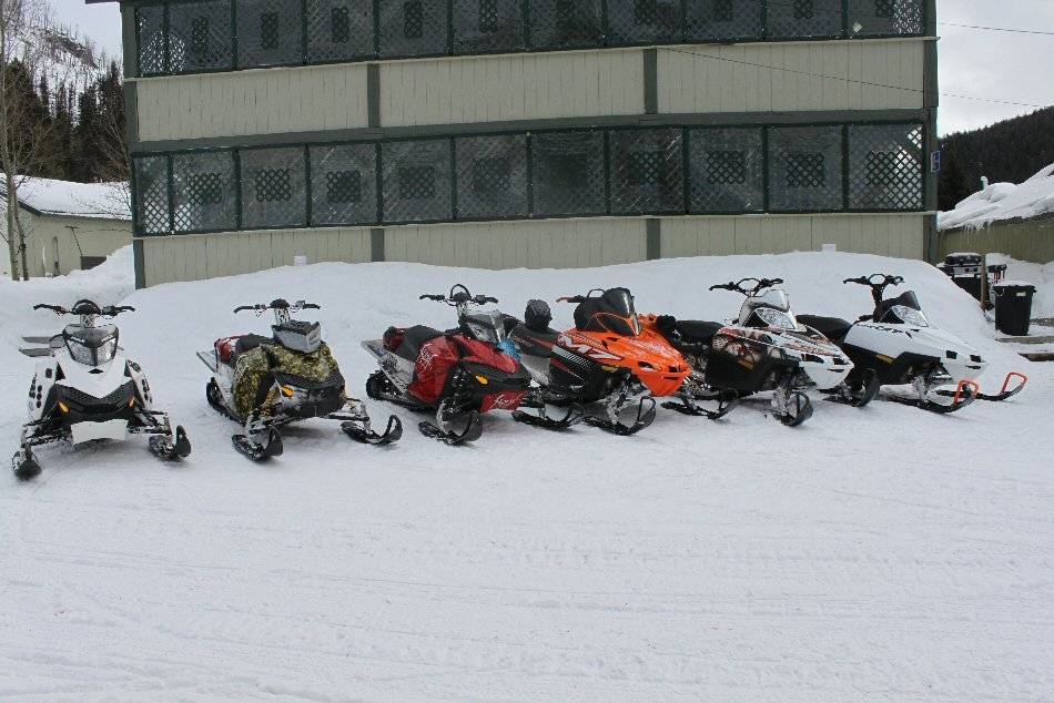 Lined up at Cooke