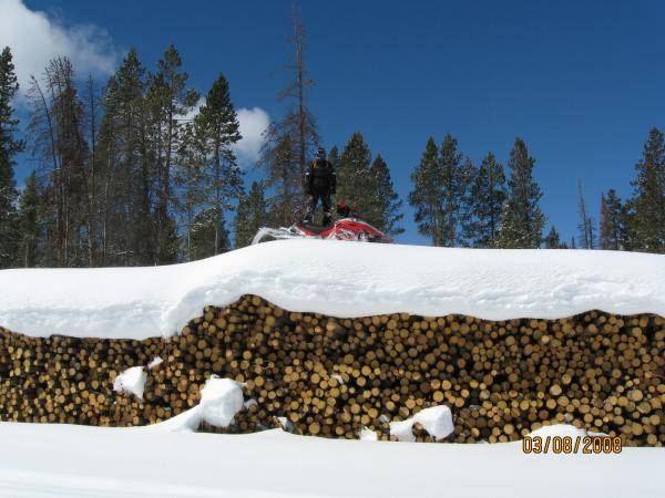 Little log pile