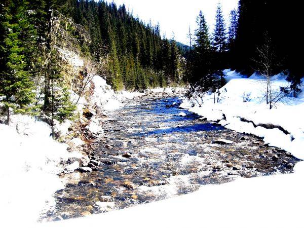 Marble Creek 4-5-09