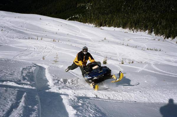 McLaughlin Ridge, Vancouver Island